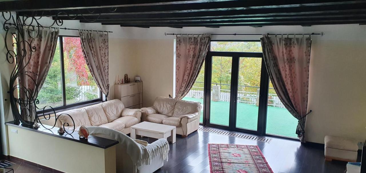 Piatra NeamţCasa Yla别墅 外观 照片