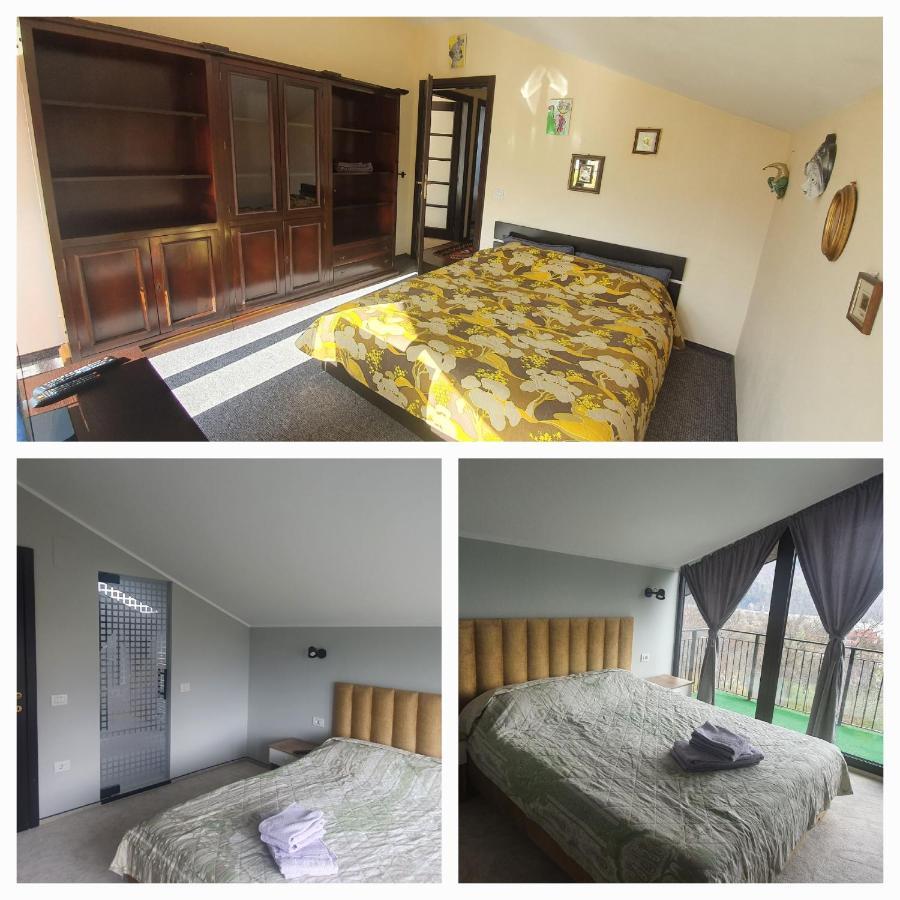 Piatra NeamţCasa Yla别墅 外观 照片