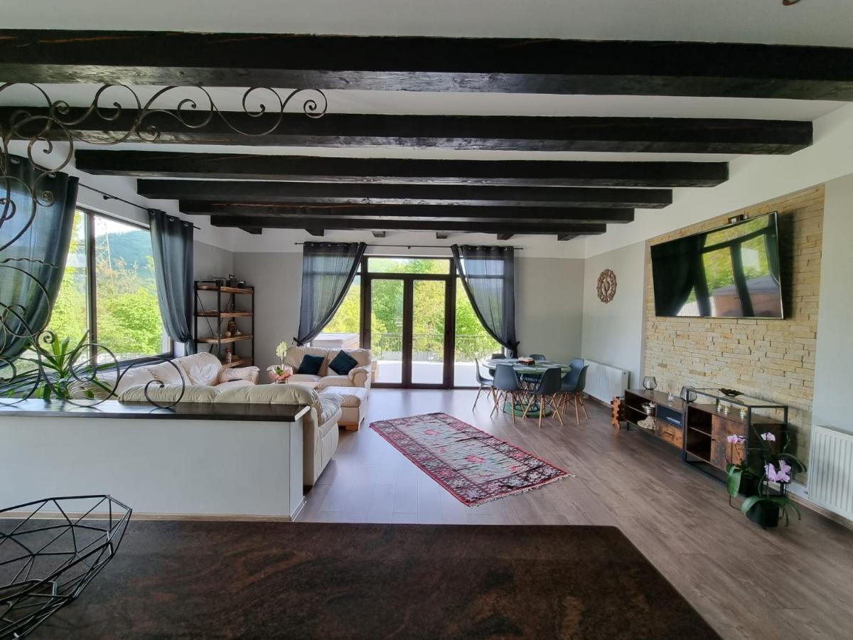 Piatra NeamţCasa Yla别墅 外观 照片