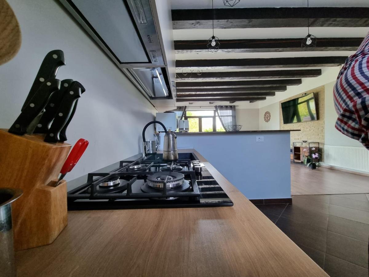 Piatra NeamţCasa Yla别墅 外观 照片