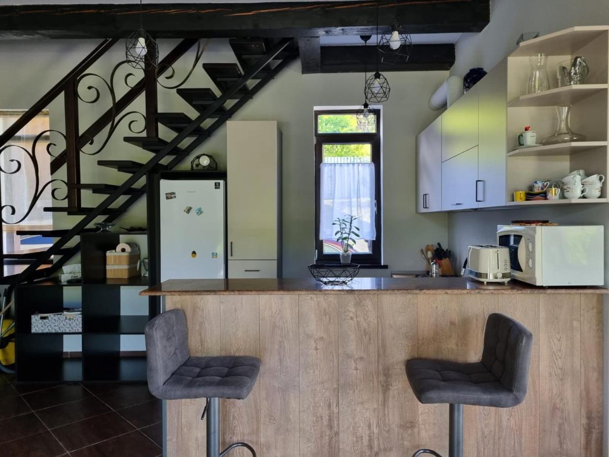 Piatra NeamţCasa Yla别墅 外观 照片