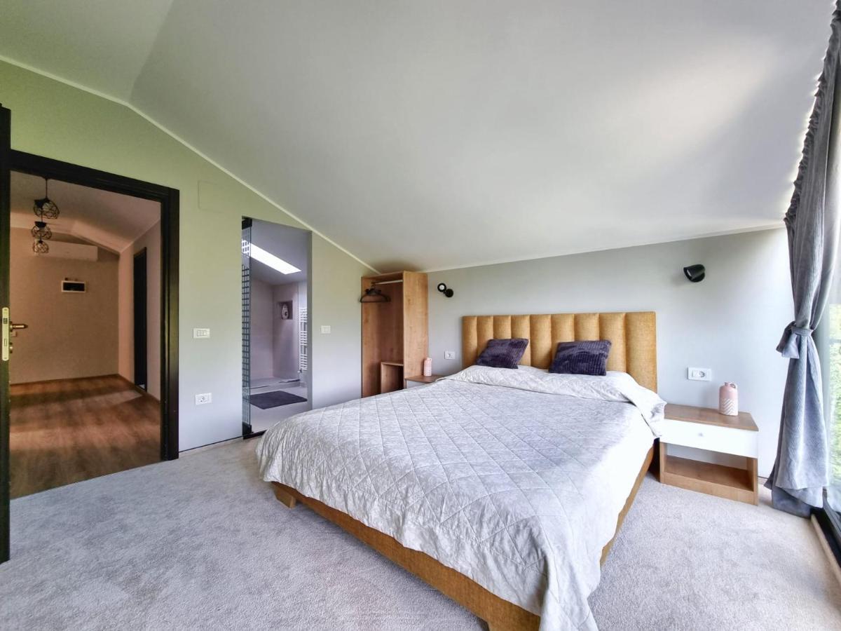 Piatra NeamţCasa Yla别墅 外观 照片