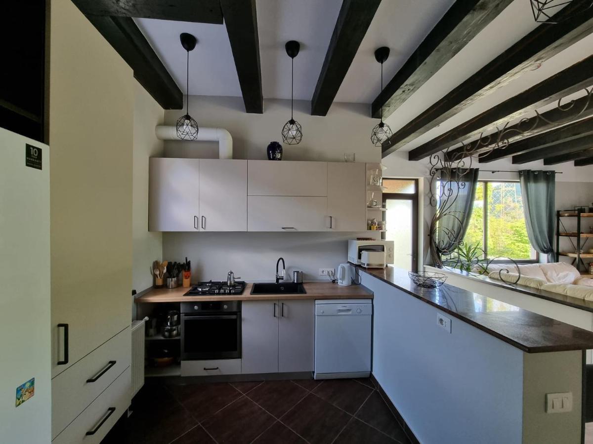 Piatra NeamţCasa Yla别墅 外观 照片