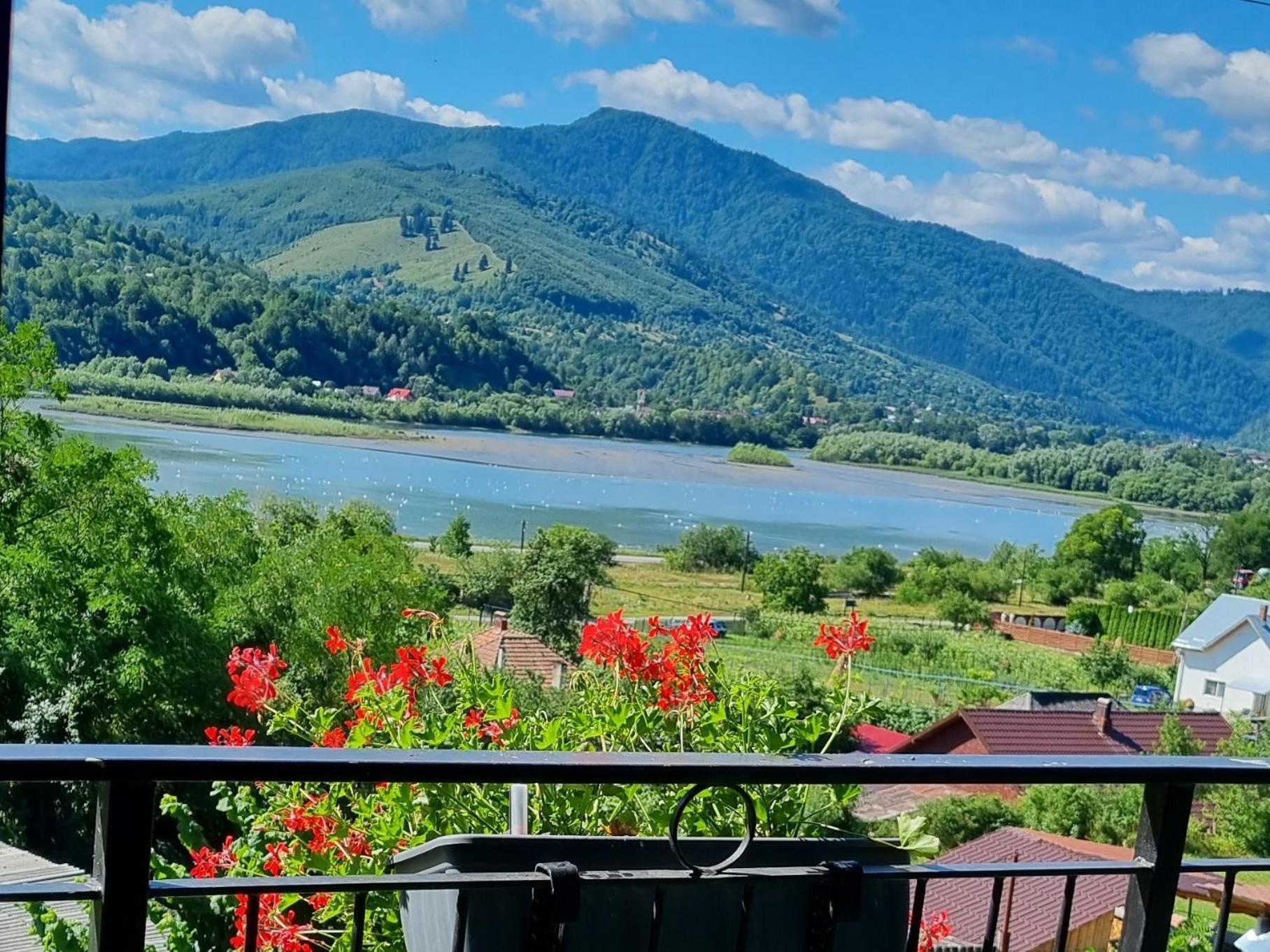 Piatra NeamţCasa Yla别墅 外观 照片