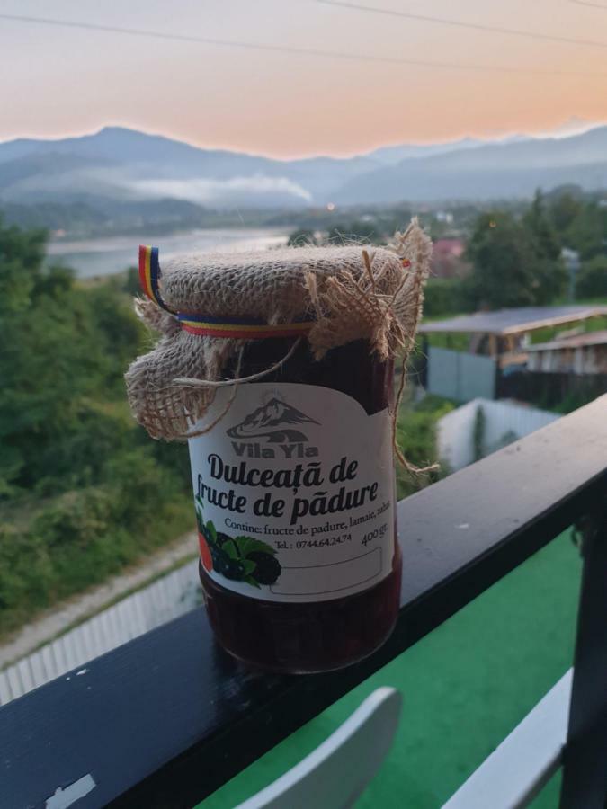 Piatra NeamţCasa Yla别墅 外观 照片
