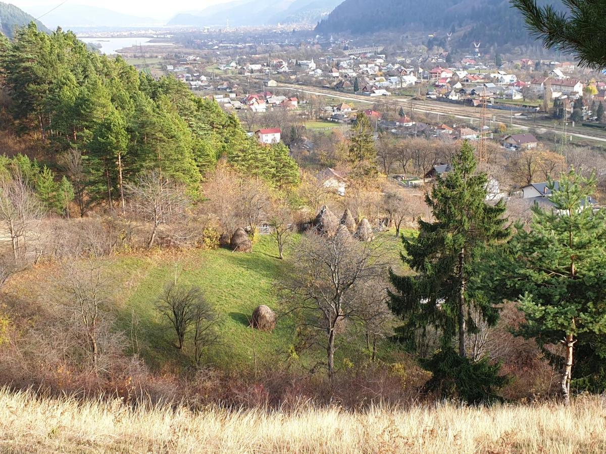 Piatra NeamţCasa Yla别墅 外观 照片